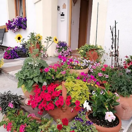 Spitzmandl Ίνσμπρουκ