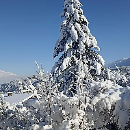 Lägenhet Spitzmandl