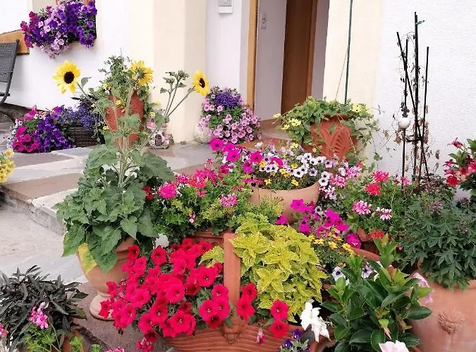 Spitzmandl 因斯布鲁克